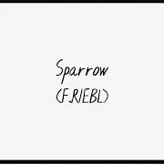 The lyrics SPARROW of THE CAT EMPIRE is also present in the album Sparrow (2021)