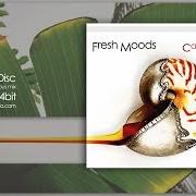 The lyrics SENSES of FRESH MOODS is also present in the album Carbon islands (2013)