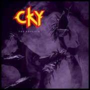The lyrics REPLACEABLE of CKY is also present in the album The phoenix (2017)