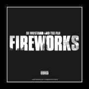 The lyrics HAVE A DRINK of TEEFLII is also present in the album Fireworks (2013)
