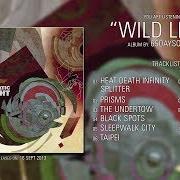 The lyrics SLEEPWALK CITY of 65DAYSOFSTATIC is also present in the album Wild light (2013)