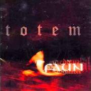 The lyrics TINTA of FAUN is also present in the album Totem (2007)
