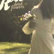 The lyrics T-SHIRT of CAITLIN ROSE is also present in the album Dead flowers (2010)