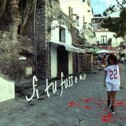 The lyrics NOI LA COSA CHE NON VUOI of PEPPE FORESTIERO is also present in the album Nel cuore... (2013)