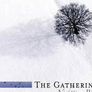 The lyrics THE EARTH IS MY WITNESS of THE GATHERING is also present in the album Nighttime birds (1997)