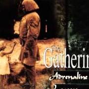 The lyrics ADRENALINE of THE GATHERING is also present in the album Adrenaline / leaves (1996)