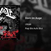 The lyrics REGENTANZ of KAISA is also present in the album Dorn im auge (2008)