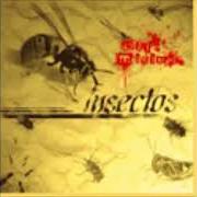 The lyrics A.O.P.A. of BAJO MÍNIMOS is also present in the album Insectos (2004)