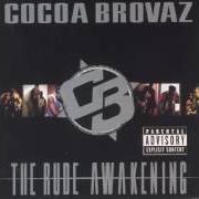 The lyrics HOLD IT DOWN of COCOA BROVAZ is also present in the album The rude awakening (1998)