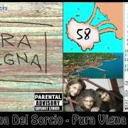 The lyrics CANZONE D'AMORE of TANA DEL SORCIO is also present in the album Pura vigna (2002)