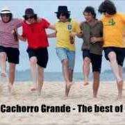 The lyrics DANCE AGÔRA of CACHORRO GRANDE is also present in the album O melhor do cachorro grande (2005)