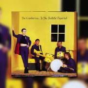 The lyrics I'M STILL REMEMBERING of THE CRANBERRIES is also present in the album To the faithful departed (1995)