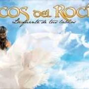The lyrics HABLANDO SOLO of ECOS DEL ROCÍO is also present in the album Al compas del amor (2009)