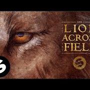 The lyrics DADIMA of KSHMR is also present in the album The lion across the field (2016)