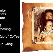 The lyrics ONE MORE CUP OF COFFEE of DAMIAN MARLEY is also present in the album Mr. marley