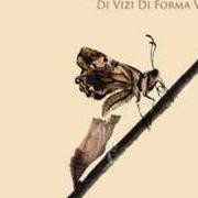 The lyrics CI RICAMO SOPRA (FEAT. DANIELE VIT) of DARGEN D'AMICO is also present in the album Di vizi di forma virtù (2008)