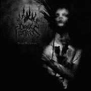 The lyrics DESPISE THE "LIVING" of DARK FORTRESS is also present in the album Stab wounds (2004)