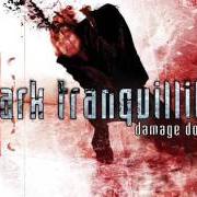 The lyrics THE ENEMY of DARK TRANQUILLITY is also present in the album Damage done (2002)