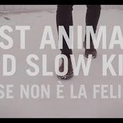 The lyrics MONTANA of FAST ANIMALS AND SLOW KIDS is also present in the album Forse non e' la felicità (2017)