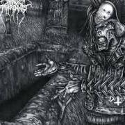 The lyrics WISDOM OF THE DEAD of DARKTHRONE is also present in the album F.O.A.D. (2007)