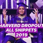 The lyrics NU UH of LIL PUMP is also present in the album Harvard dropout (2019)