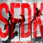 The lyrics APOLOGÍA DEL LLANTO of SFDK is also present in the album Sin miedo a vivir (2014)