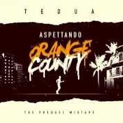 The lyrics SCARPE COI FRENI FREESTYLE of TEDUA is also present in the album Orange county mixtape (2016)