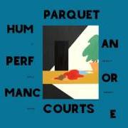 The lyrics ALREADY DEAD of PARQUET COURTS is also present in the album Human performance (2016)