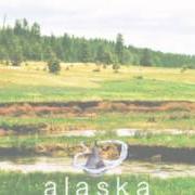The lyrics SETTLEMENTS of ALASKA is also present in the album Palcaptain - ep (2012)