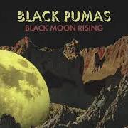 The lyrics BLACK MOON RISING of BLACK PUMAS is also present in the album Black pumas (2020)