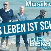The lyrics VIEL ZU VERLIEBT of ALTE BEKANNTE is also present in the album Das leben ist schön (2019)