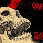 The lyrics COUNTESS OF THE CRESCENT MOON of CARNIFEX is also present in the album Slow death (2016)