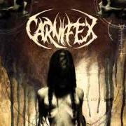 The lyrics WE SPOKE OF LIES of CARNIFEX is also present in the album Until i feel nothing (2011)