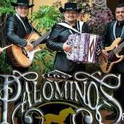 The lyrics TE QUIERO MAS of LOS PALOMINOS is also present in the album Siente el amor (2013)