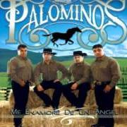 The lyrics ME ENAMORE DE UN ANGEL of LOS PALOMINOS is also present in the album Me enamore de un angel (2008)