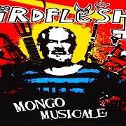The lyrics CROCOPHILE of BIRDFLESH is also present in the album Mongo musicale (2006)