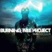 The lyrics DEAR VALENTINE of BURNING TREE PROJECT is also present in the album Time and color