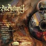 The lyrics SPIRAL of FIT FOR AN AUTOPSY is also present in the album The great collapse (2017)
