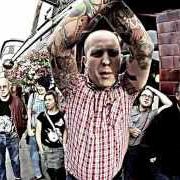 The lyrics MAYBE of BOOZE & GLORY is also present in the album London skinhead crew (2013)