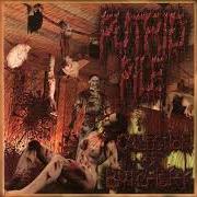 The lyrics SEVERED HEAD MEMENTO of PUTRID PILE is also present in the album Collection of butchery (2003)