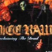 The lyrics IF I ONLY HAD WORDS of DICE RAW is also present in the album Reclaiming the dead (2000)