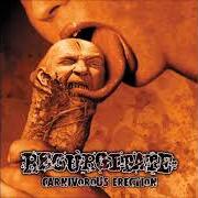 The lyrics DRENCHED IN CATTLEBLOOD of REGURGITATE is also present in the album Carnivorous erection (2000)