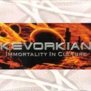 The lyrics ...BABY ONE MORE TIME of KEVORKIAN is also present in the album Immortality in culture (2002)