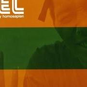The lyrics BM'S of DEL THA FUNKEE HOMOSAPIEN is also present in the album Both sides of the brain (2000)