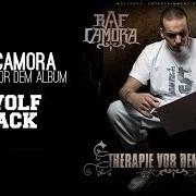 The lyrics TRAUMATISIERT of RAF CAMORA is also present in the album Therapie vor dem album (2008)