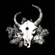 The lyrics EVERYTHING WAS WHITE of DEMON HUNTER is also present in the album Summer of darkness (2004)