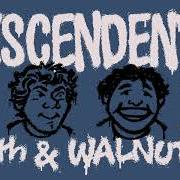 The lyrics I NEED SOME of DESCENDENTS is also present in the album 9th & walnut (2021)