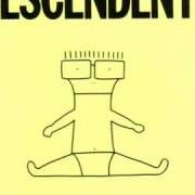 The lyrics IN LOVE THIS WAY of DESCENDENTS is also present in the album I don't want to grow up (1985)