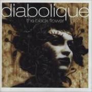 The lyrics YESMINE of DIABOLIQUE is also present in the album The black flower (1999)