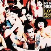 The lyrics WASTED YEARS of DIE TOTEN HOSEN is also present in the album Love, peace & money (1994)